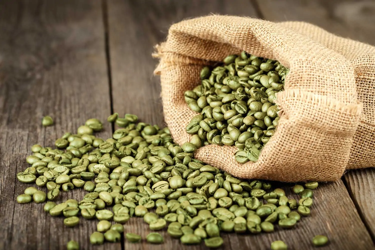 green coffee supplier in Tanzania An open sack of green coffee pouring down on the table
